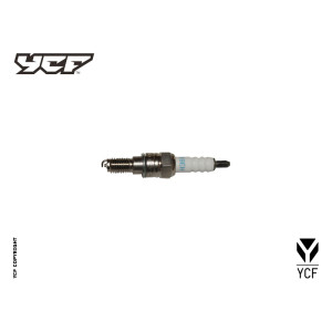 CANDELA 4v Daytona ER9EH