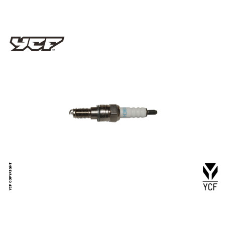 CANDELA 4v Daytona ER9EH