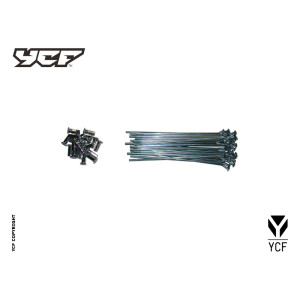 kit raggi  14' (147mm×32) | ruote e cerchi per minibike e pitbike