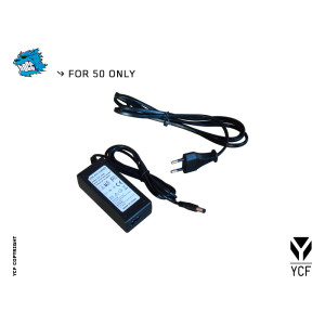 Carica batteria YCF 50A