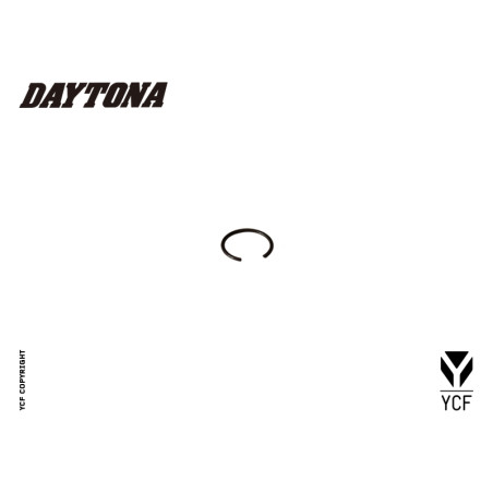 Particolare n. 1 CODICE 86453  SEEGER