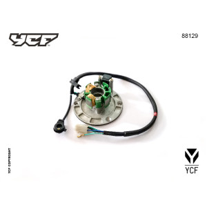 Particolare n. 10 CODICE 88129STATORE ACCENSIONE anima 190 FSM