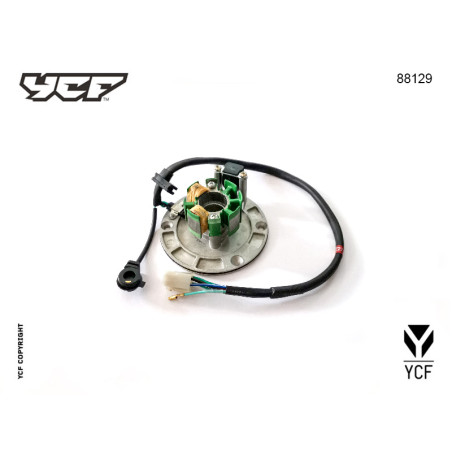 Particolare n. 10 CODICE 88129STATORE ACCENSIONE anima 190 FSM