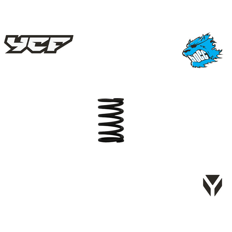 Molla valvola YCF50A | Valvola motore