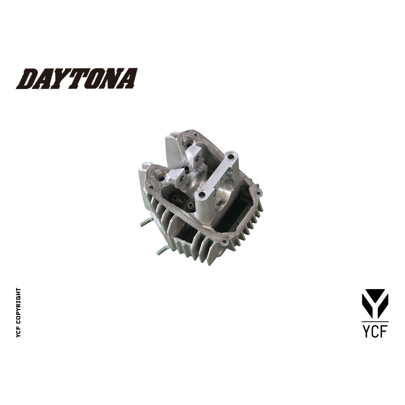 Particolare n. 14 CODICE 86368  TESTA ANIMA 150