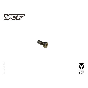 Particolare n. 2 CODICE 85877  BULLONE