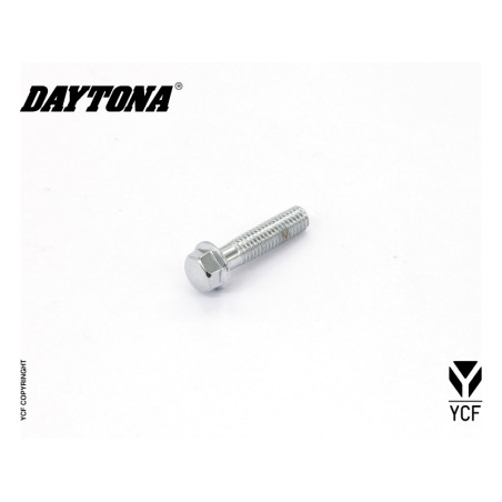 Particolare n. 2 CODICE 86464  VITE CARTER ACCENSIONE