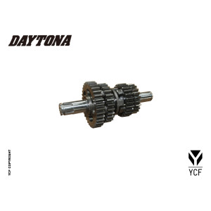 Particolare n. 6 CODICE 86416  CAMBIO PRIMARIO E SECONDARIO