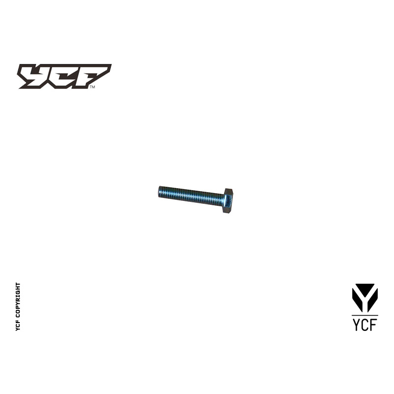 Particolare n. 6 CODICE 86471  VITE SEMICARTER FRIZIONE M6x30