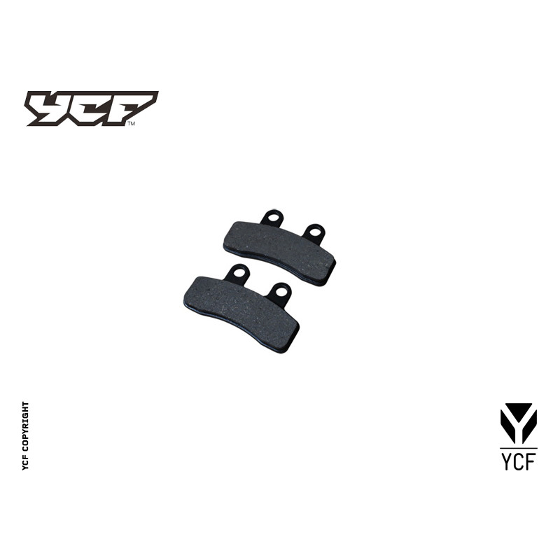 Pastiglie freno anteriori