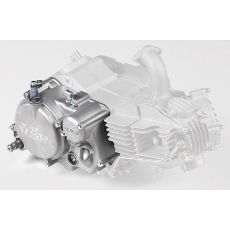 Perno pedana in ferro f8×43