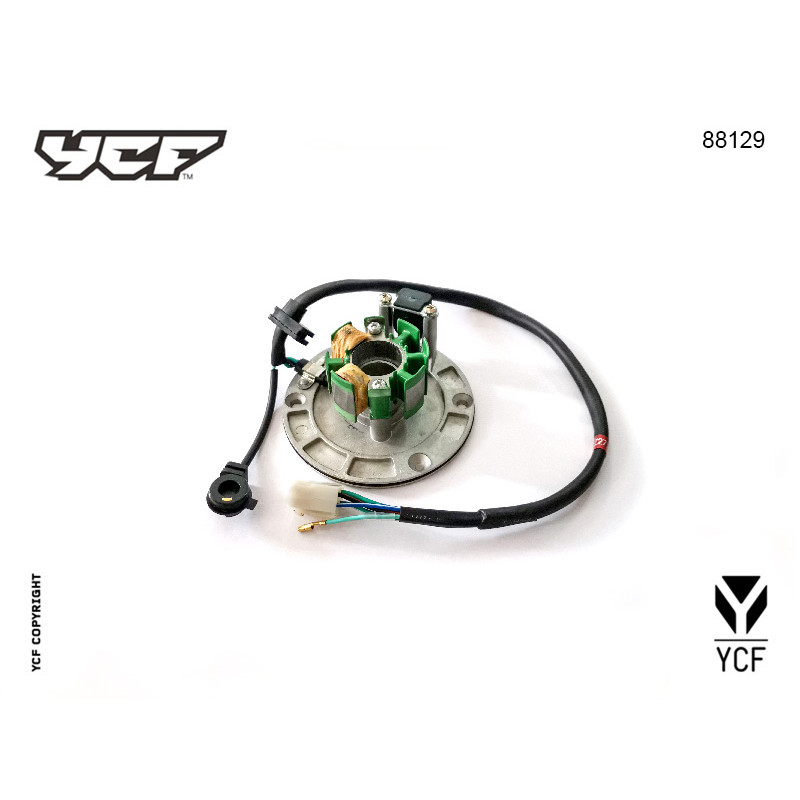 Particolare n. 10 CODICE 88129STATORE ACCENSIONE anima 190 FSM |...