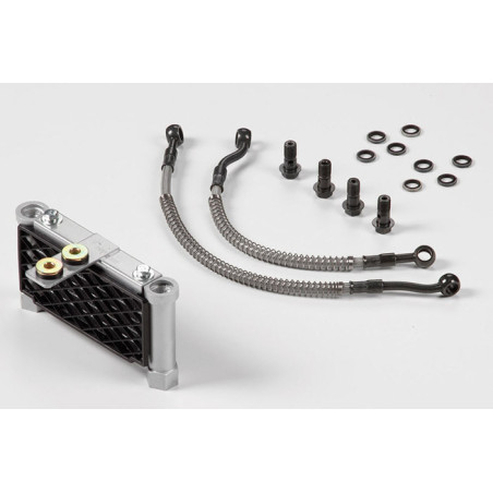 Radiatore olio completo motore daytona / YX tipo CRF