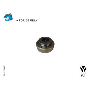 Rotore d'accensione YCF50
