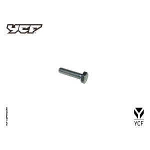 Particolare n. 4 CODICE 86466  VITE COLLETTORE | Bulloneria motore