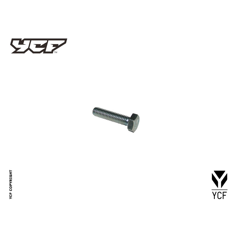 Particolare n. 4 CODICE 86466  VITE COLLETTORE | Bulloneria motore