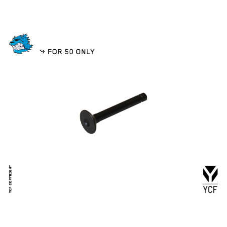 Valvola aspirazione ycf50a