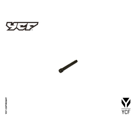 Vite fissaggio pastiglie freno pompa posteriore L-38mm