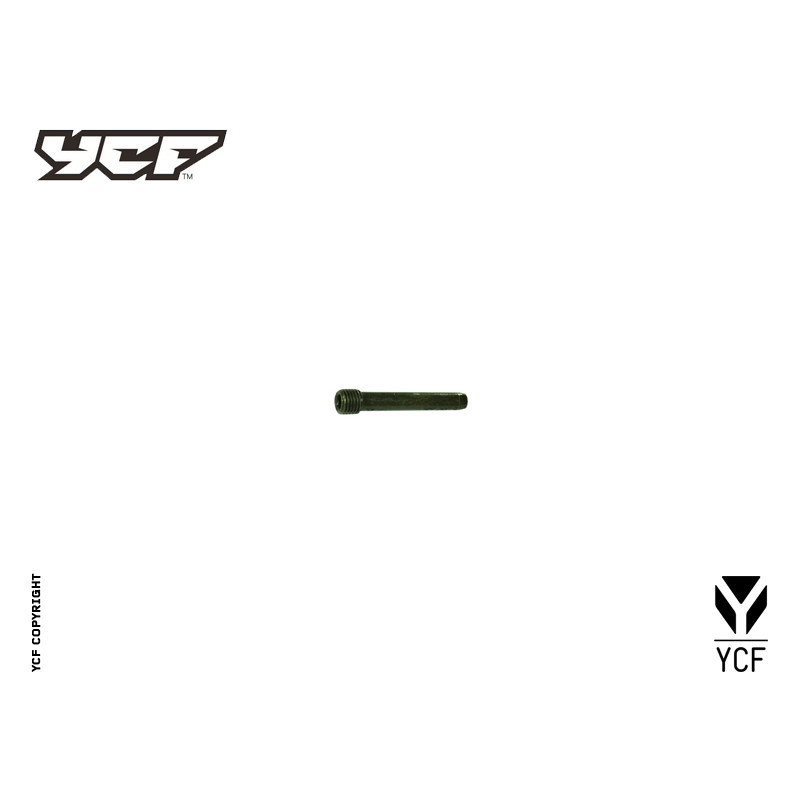 Vite pastiglie freno anteriore L-55mm