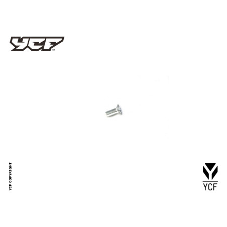 Vite scorricatena posteriore