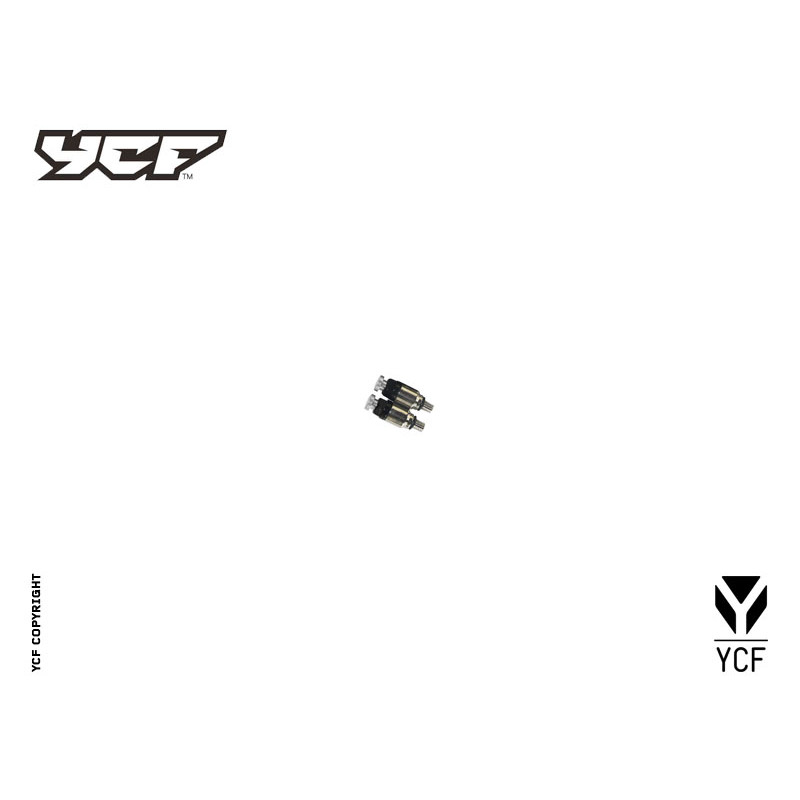 Coppia tappi spurgo aria forcella anodizzati SILVER