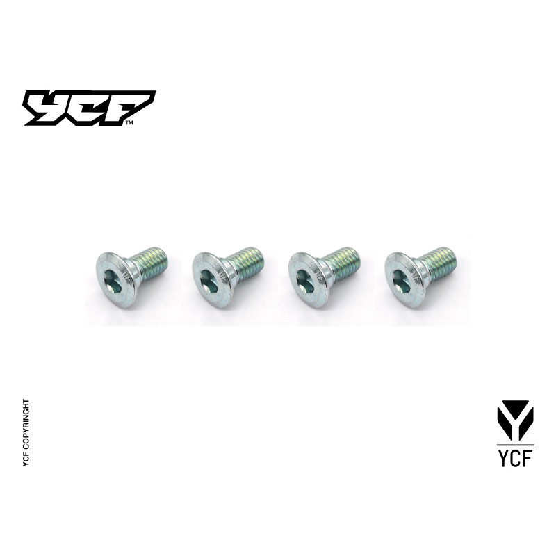 kit viti disco (4 pezzi)