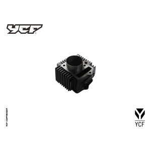 Cilindro 125cc 54 mm | Componente termica (cilindro/pistone)