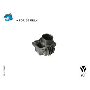 Cilindro YCF 50 | Componente termica (cilindro/pistone)