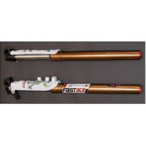 Coppia FORCELLE PIT BIKE FAST ACE 735mm (regolabili in compressione...