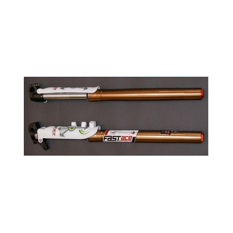 Coppia FORCELLE PIT BIKE FAST ACE 735mm (regolabili in compressione...
