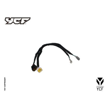 Cablaggio per motore ZS 125 FIDDY