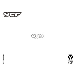 Kit fasce elastiche per Pistone diam 60MM yx | Componente termica...