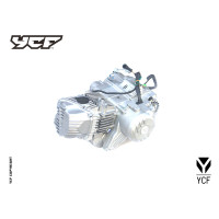 RICAMBI MOTORE ZS190