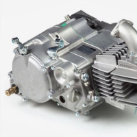 RICAMBI MOTORE PIT BIKE