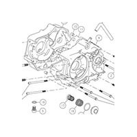 CARTER MOTORE DAYTONA PIT BIKE