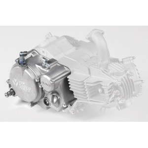 Perno pedana in ferro f8×43