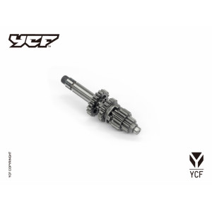 Albero primario cambio YX