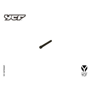 Vite fissaggio pastiglie freno pompa posteriore L-38mm