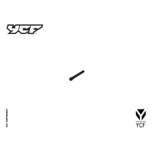 Vite pastiglie freno anteriore L-50mm