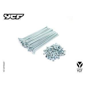 kit raggi  14' posteriori(150mmx32) 8KB1251721/B1501721