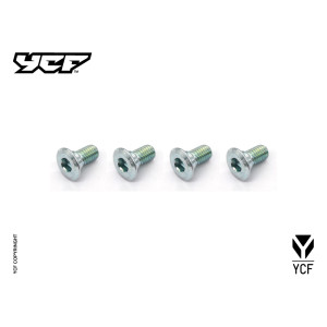 kit viti disco (4 pezzi)