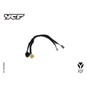 Cablaggio per motore ZS 125 FIDDY